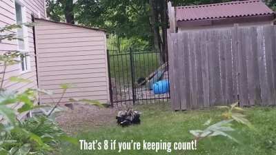 This is the side of my house.