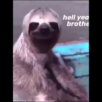 I am sped