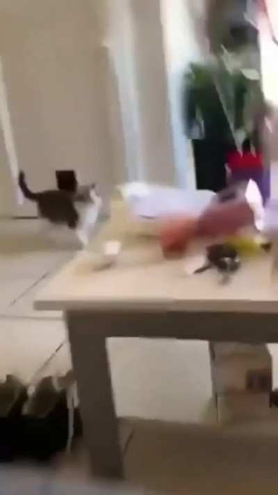 Mom, I got something for you
