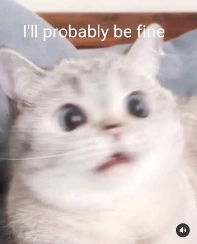 I swallowed shampoo