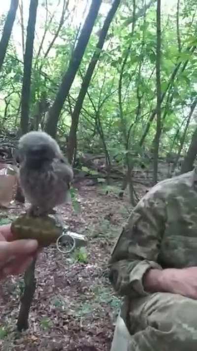 Ukraine's newest UAV is ready to drop grenades on orcs