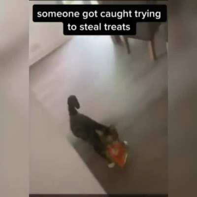 Busted