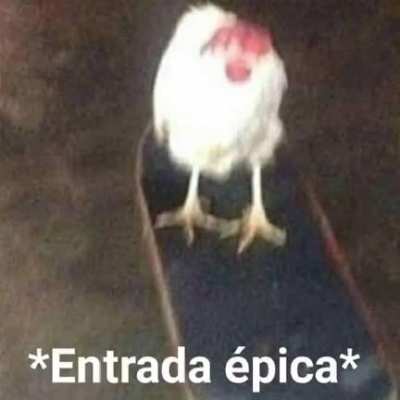 Ya estoy de vuelta
