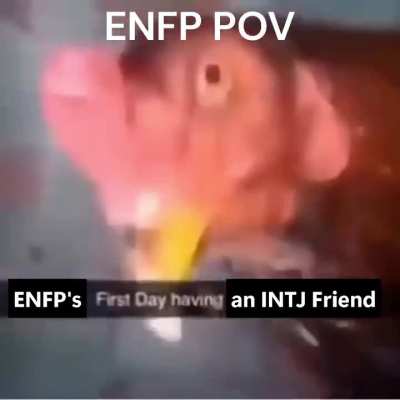 I'm INTJ Btw hehe