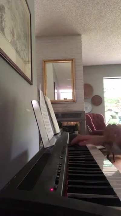 I made a mini 'Astrothunder' cover on the piano!