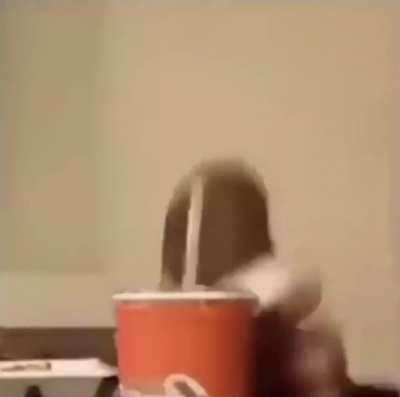 he died