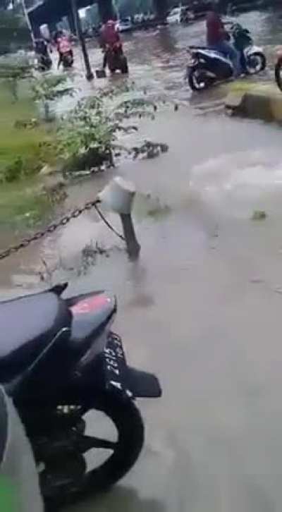 Oops there he goes...