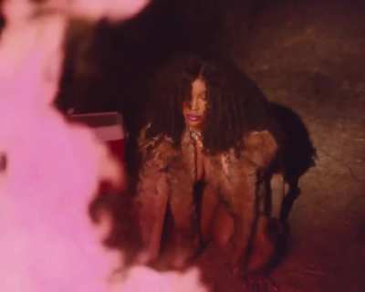 &ldquo;Drove by ur funeral just to piss In the ditch . I&rsquo;m not remiss .&rdquo; SZA via Instagram.