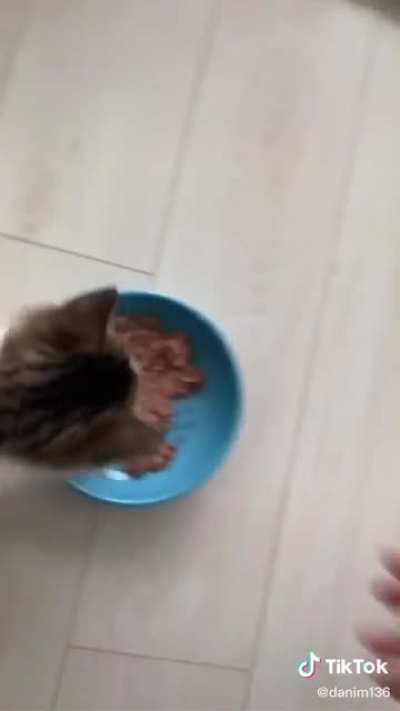 He Just Wants His Food!