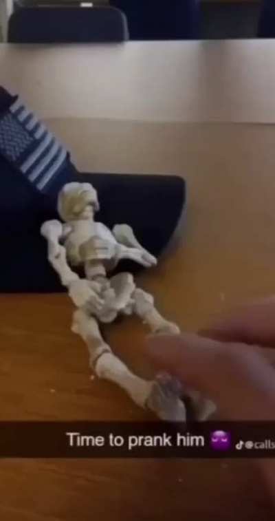 Skeleton💀