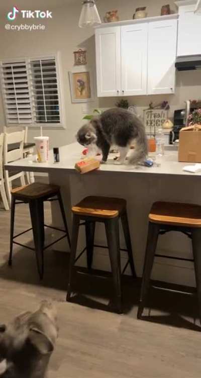 The betrayal