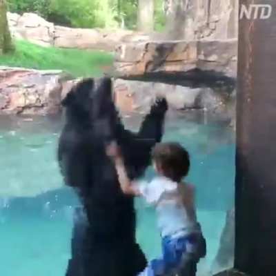"You jump, I jump!"