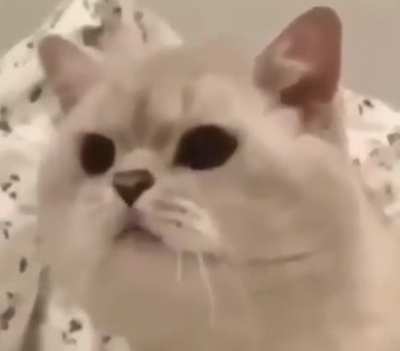 Wunk.exe has stopped working