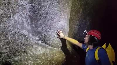 Let&rsquo;s grope this record breaking spider web made by 11,500 spiders