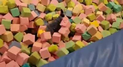 The jump failed but the result is great