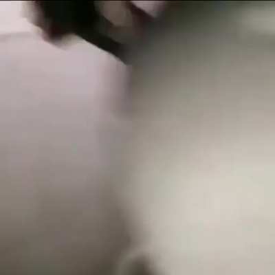 Sus ghost