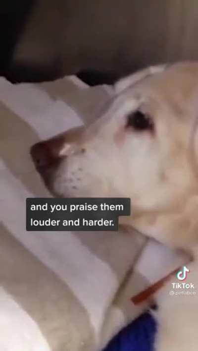 Probably the saddest tik tok I&rsquo;ve ever seen