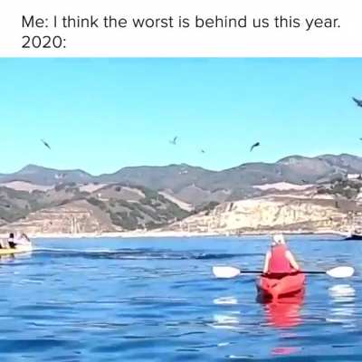 Nope.