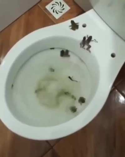 Kurbağa dersem &ccedil;ıkma, sifonu &ccedil;ekersem &ccedil;ık