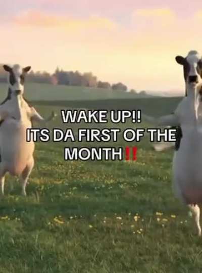 November 1 na!
