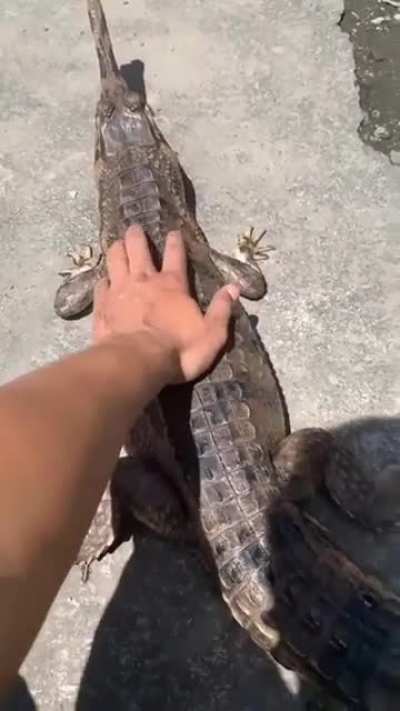 bro legit "don't touch me !"