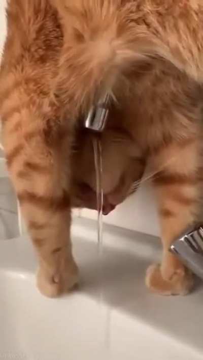 Having a drink