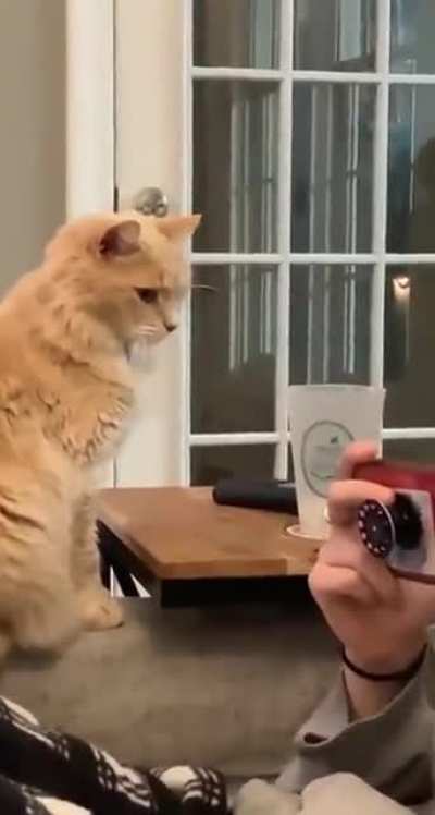Stop staring at your phone