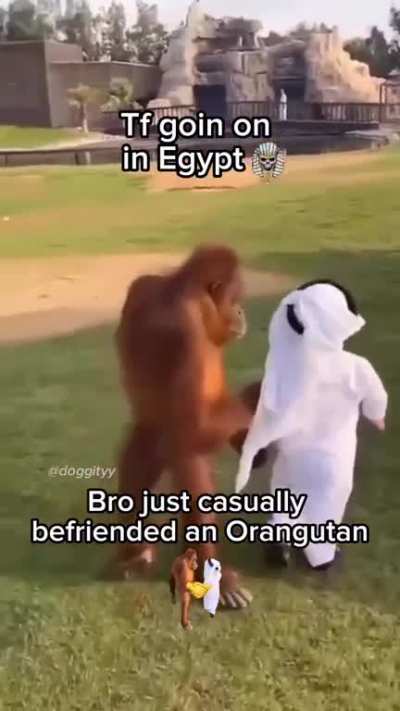 Arab frend 