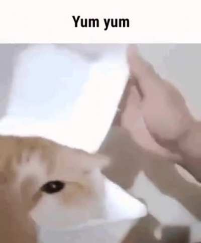 48587