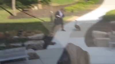 The epic battle of Man vs Canada Goose