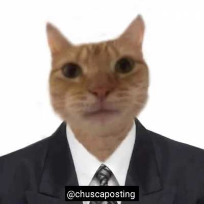este s&aacute;bado voten por jaimito porfa