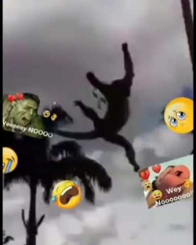 NOOOO 👊👊