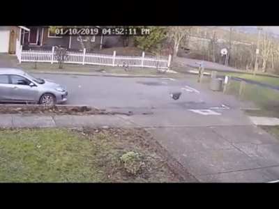 fuck you