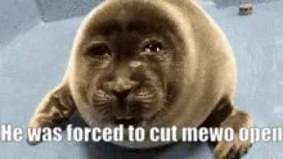 :(