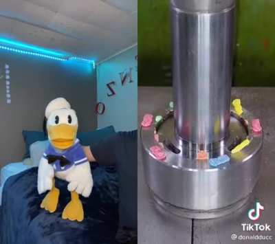 I don&rsquo;t think Donald likes candles