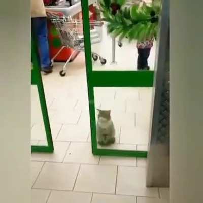 Kitty ran out of fuck to give