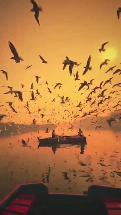 🔥 Yamuna River, Uttar Pradesh India