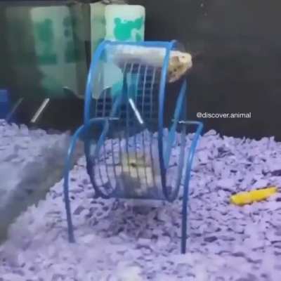 Enjoying the life