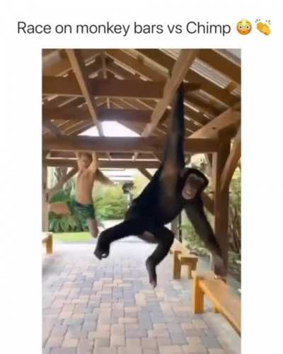 APES.DONT.LOSE