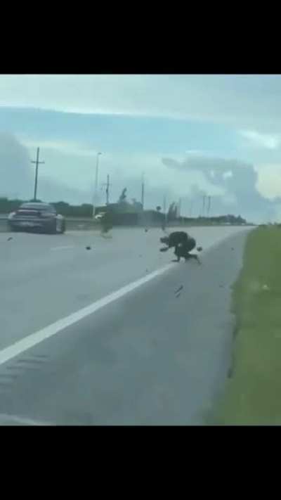 Lucky, he is still alive