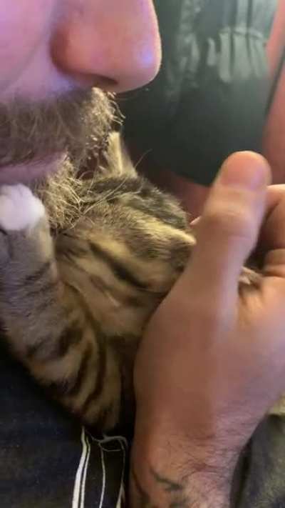 Our new kitten seems to be getting along with my boyfriend. &hearts;️