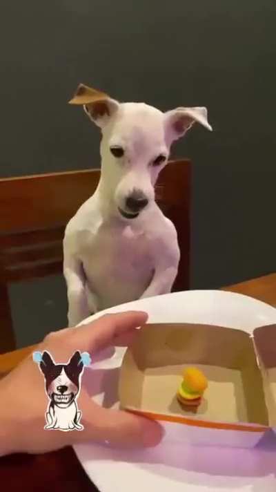 The betrayal is real. 🍔