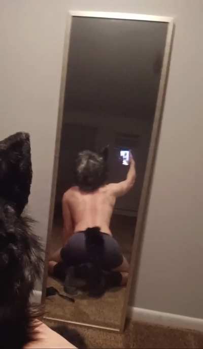 Wagging my tail for you :)