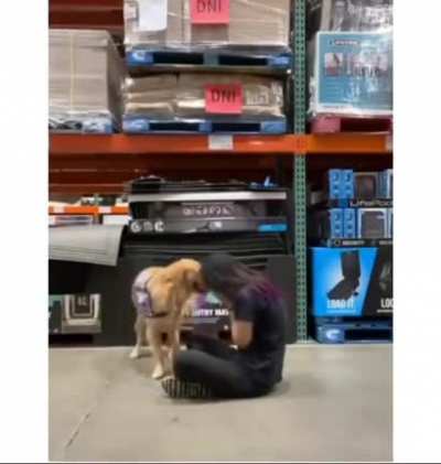 Service dogs are true gift.