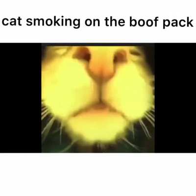 Don&rsquo;t invest in Boof 🌱