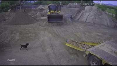 Worker Crushed