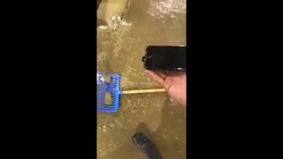Guy celebrates after getting phone out of shit