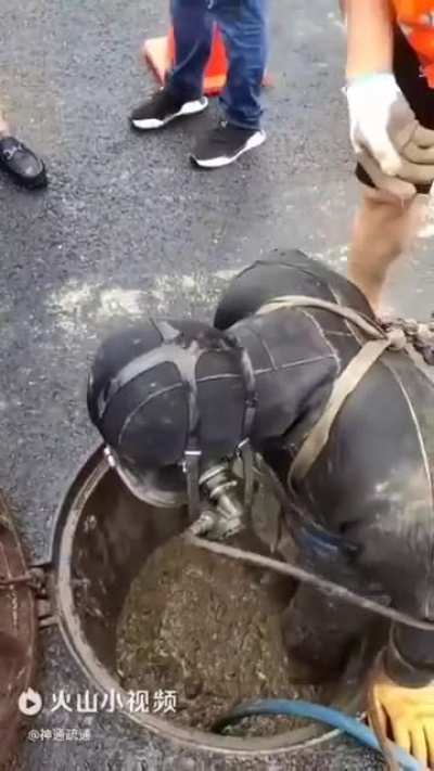 So You Think You Have a Shitty Job?