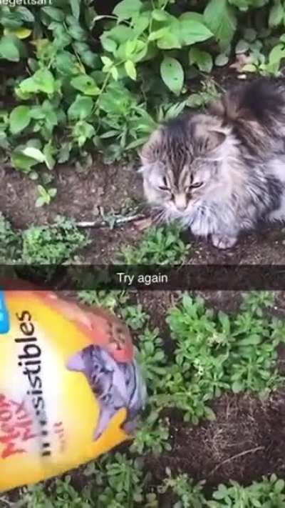 Try again