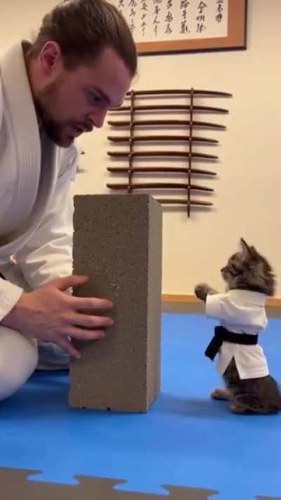 Struggling with this one. Dude is way to young to have a black belt